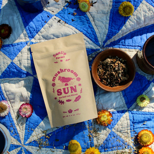 Mushroom Sun Herbal Tea