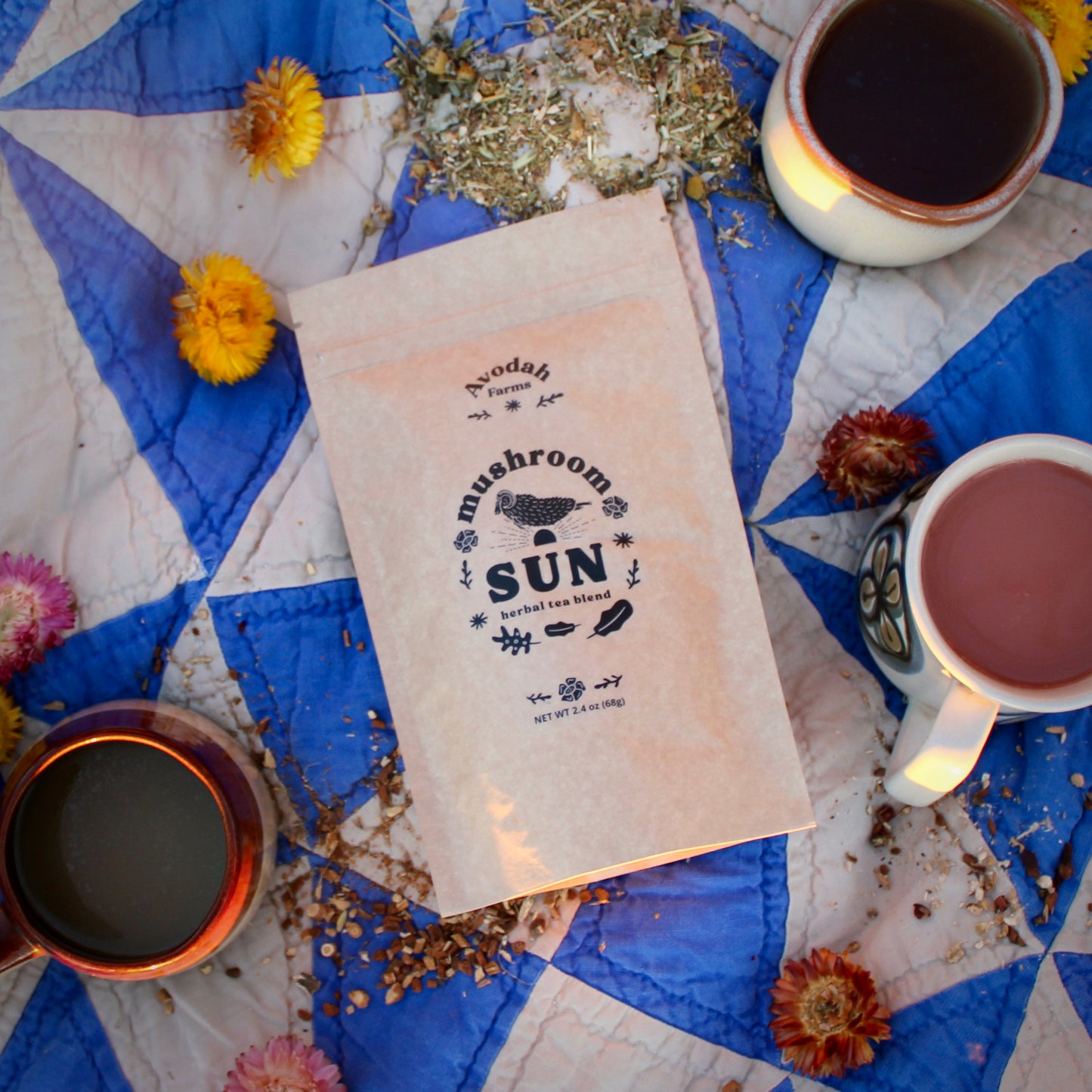 Mushroom Sun Herbal Tea