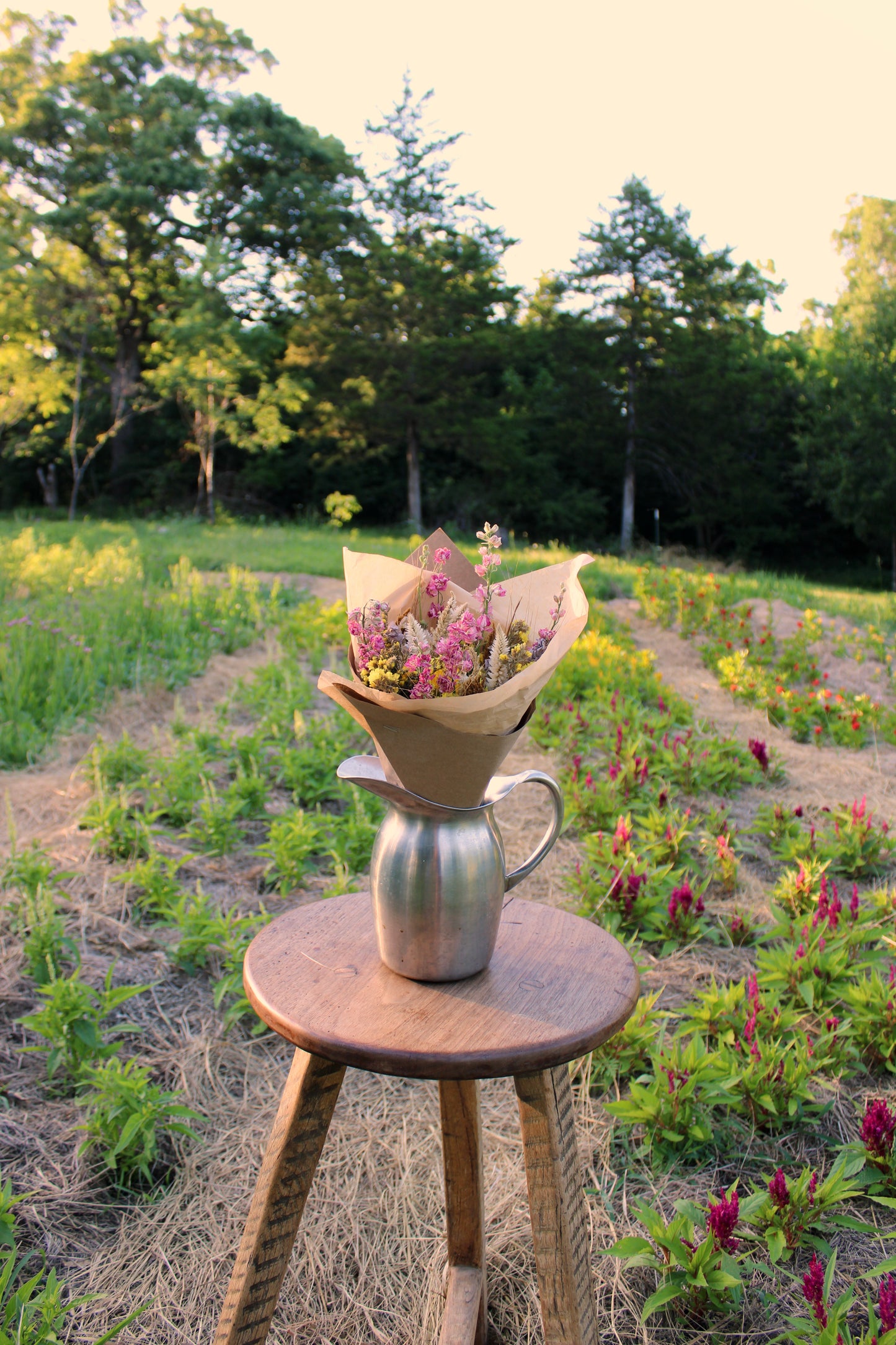 Medium Dried Bouquet: SPRING MIX