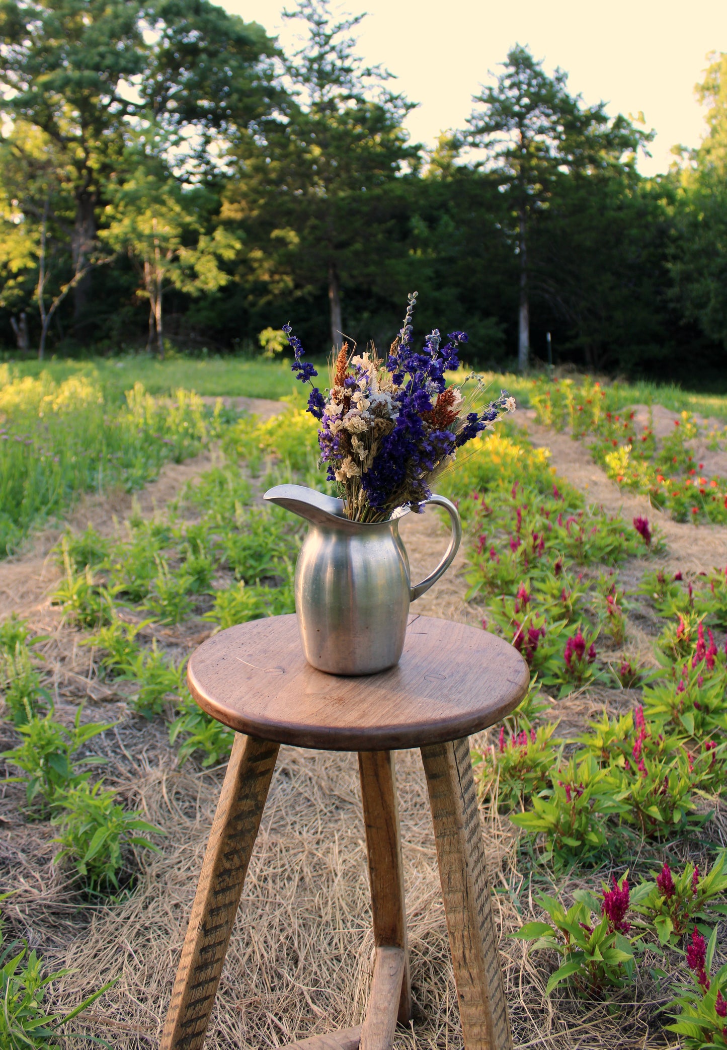 Medium Dried Bouquet: MOODY MIX